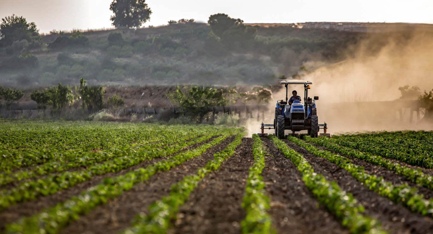 Seed Scout #3: Aviwell Bets AI and Life Sciences Can Build A Healthier Food Chain