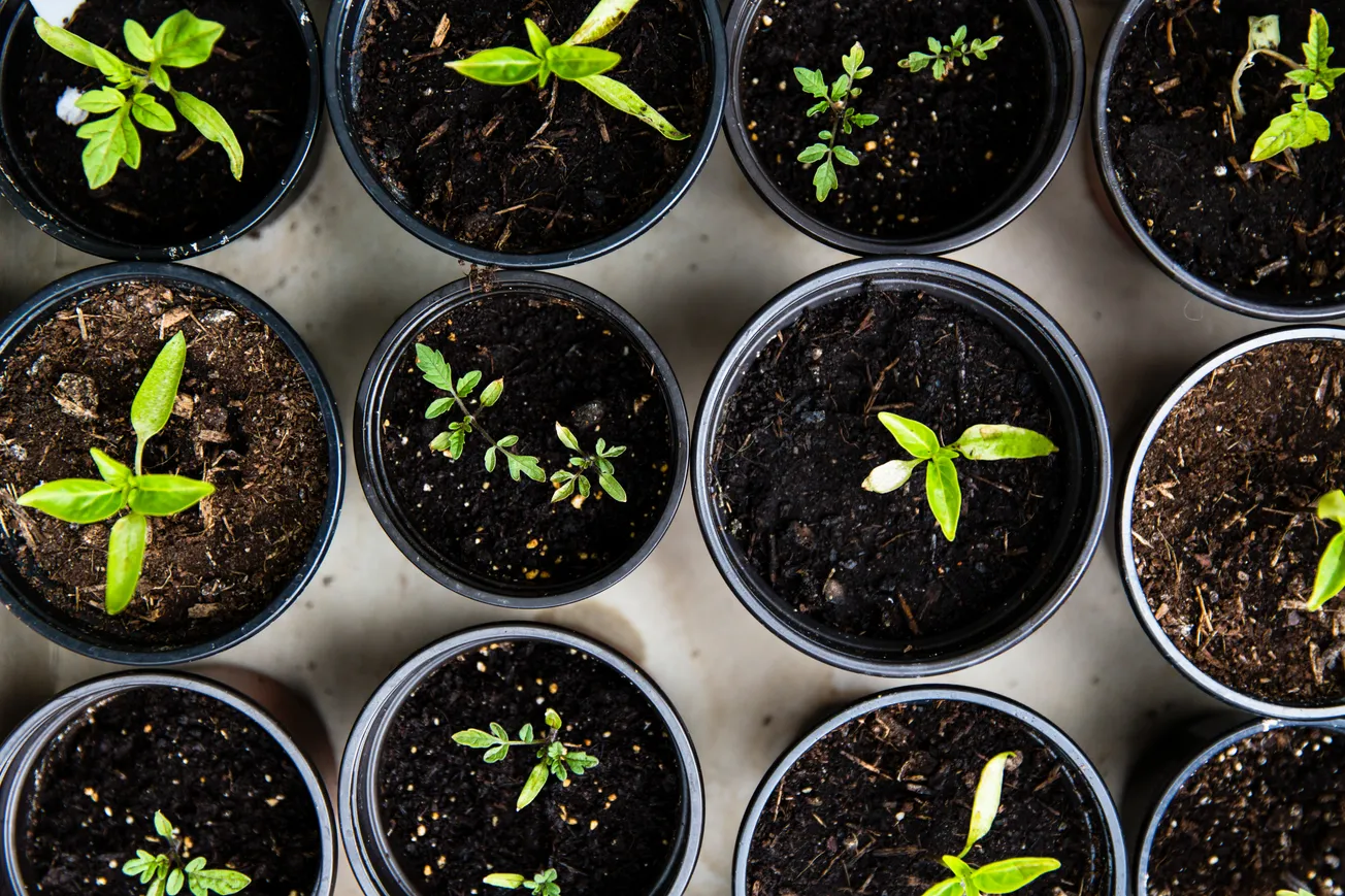 Time To End French Seed Funding Subsidies?