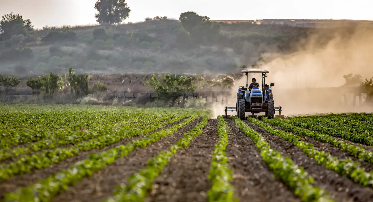 Seed Scout #3: Aviwell Bets AI and Life Sciences Can Build A Healthier Food Chain